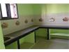 11 BHK Independent house for Sale in Hyderabad